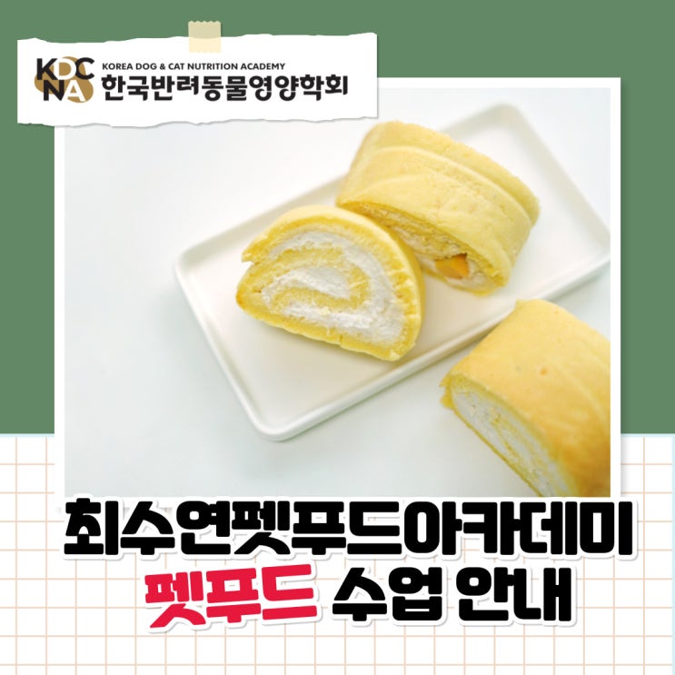  [최수연펫푸드아카데미] 반려동물 케이크 & 영양간식 전문가 자격증 과정 안내