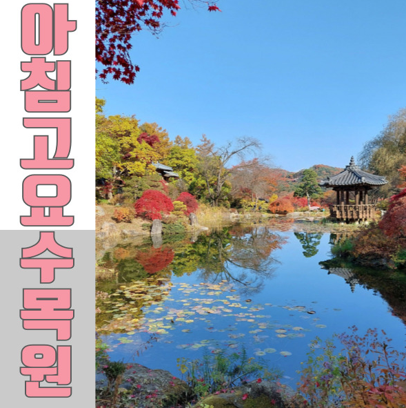  봄 여행지(블로그씨) 가평여행지 아침고요수목원 봄에 스며들 준비
