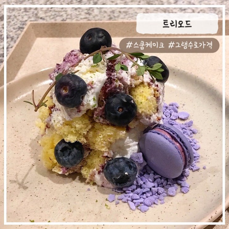  [강남/역삼 카페] "스쿱케이크" 트리오드 내돈내산 추천