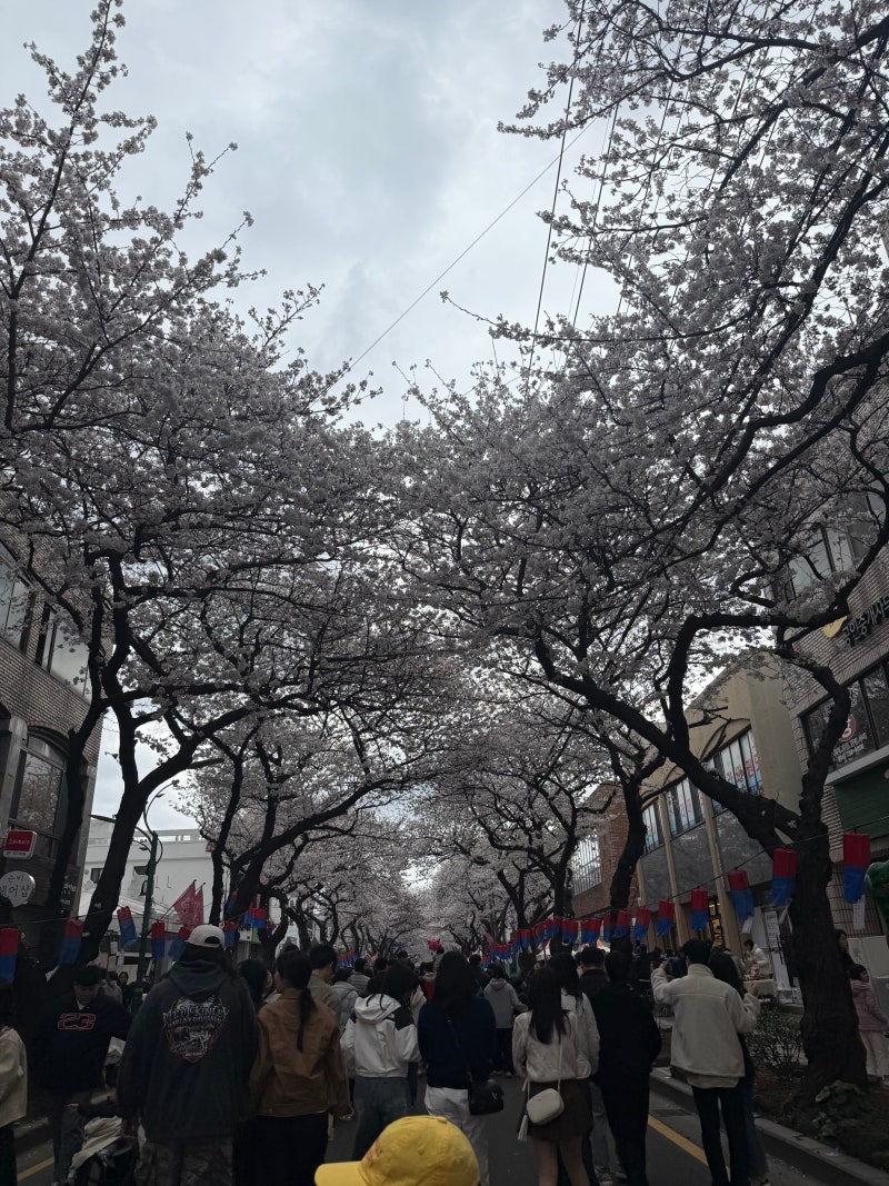펫다방