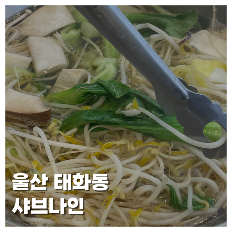  [FOOD]울산 중구 태화동맛집 샤브나인 내돈내산 후기 리뷰 운영 시간 편백찜 샤브샤브 월남쌈까지!