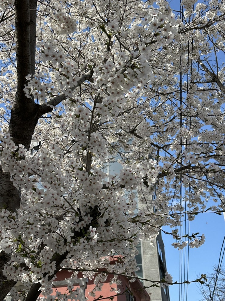  0324-0330 / F력이 상승하는 계절