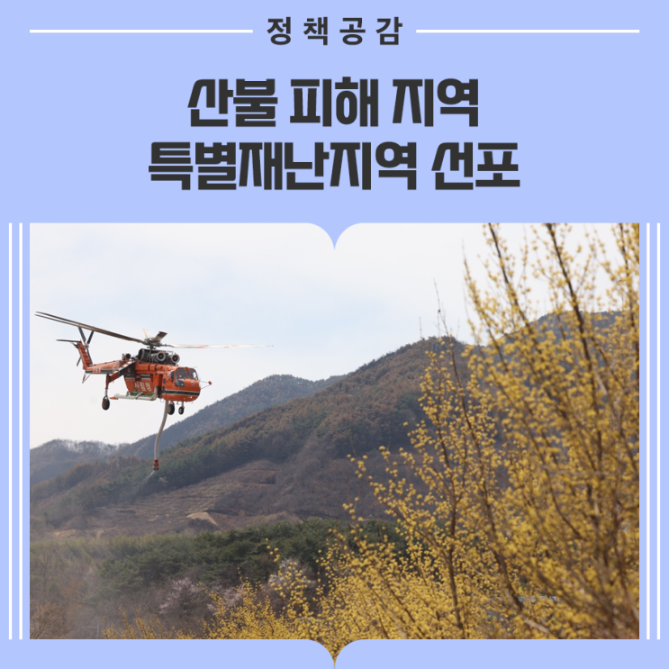 산불 피해 <b>지역</b> <b>특별재난지역</b> <b>선포</b>