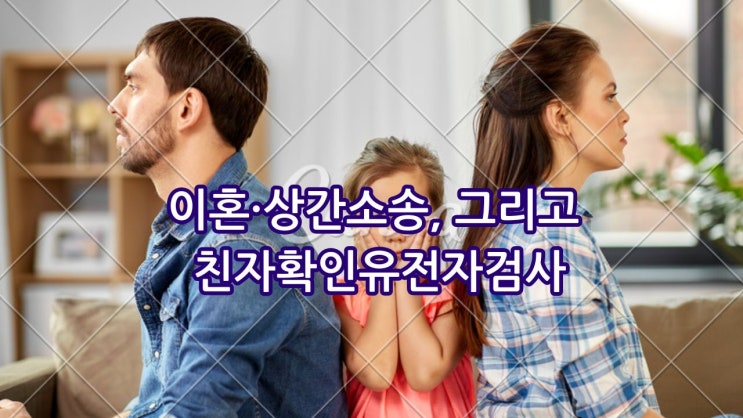  "둘째는 제 친자가 아니었습니다"… 이혼·상간소송, 그리고 친자확인유전자검사
