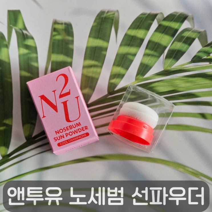  선크림 덧바르기 어려울 땐? 간편한 앤투유 노세범 썬파우더!