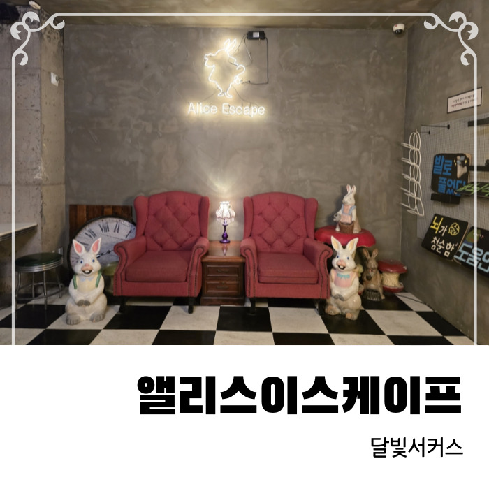  대구 동성로 놀거리 방탈출 카페 앨리스 이스케이프 달빛서커스 후기