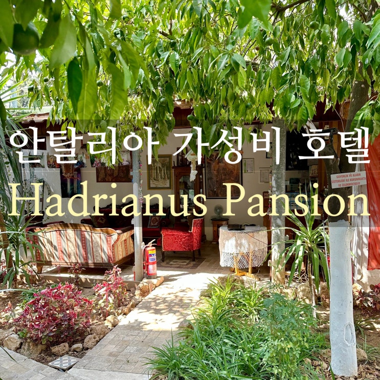  튀르키예 안탈리아 위치 좋은 가성비 숙소 하드리아누스 호텔 솔직후기+조식