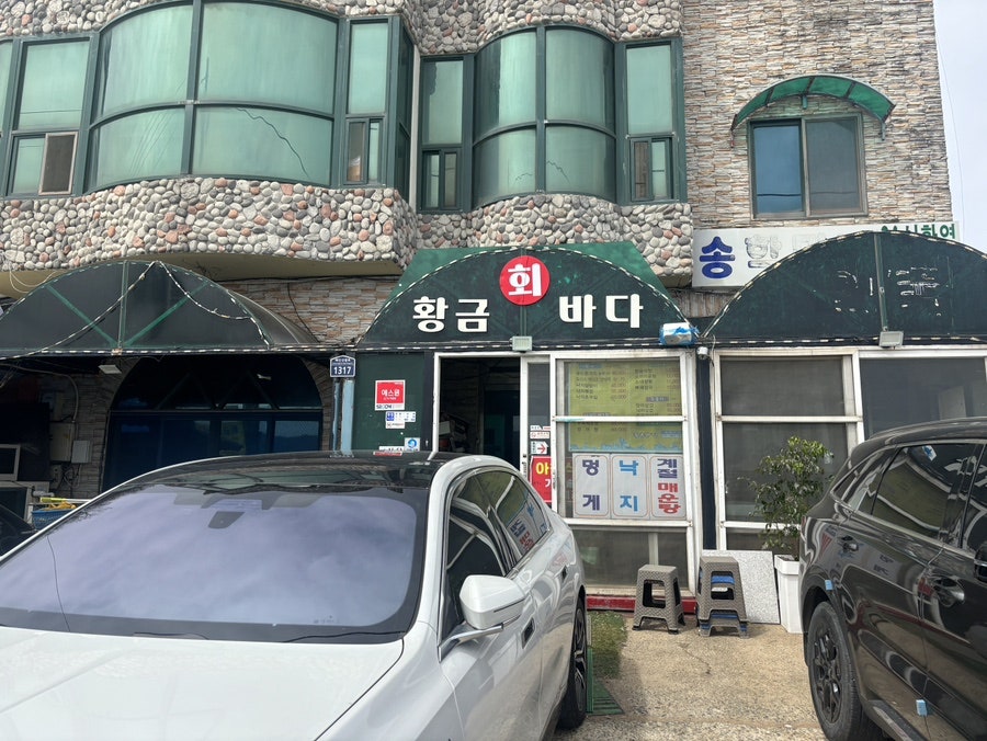 황금바다 사진 3