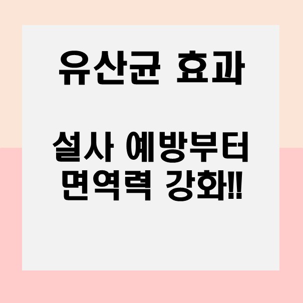  설사 예방부터 면역력 강화까지, 유산균의 놀라운 효과 알아보기
