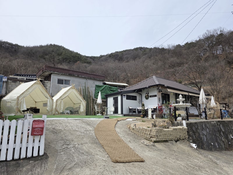 사진 6