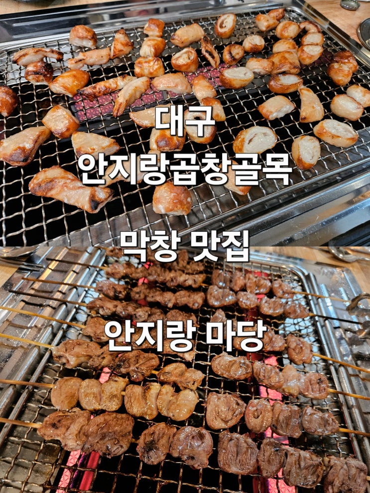  대구 안지랑곱창골목 초벌구이 막창 맛집 '안지랑마당'