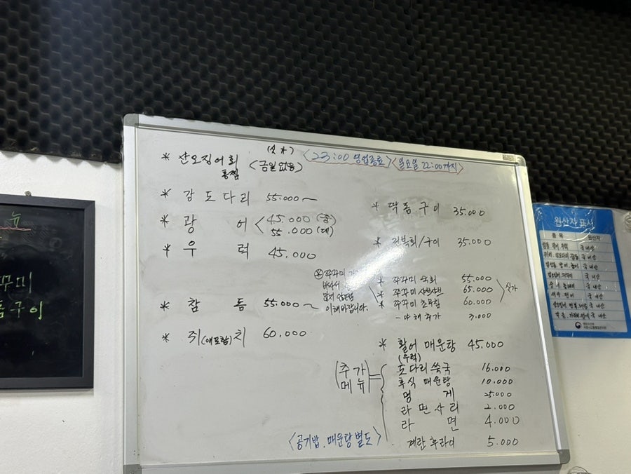 회세상오징어나라 사진 3