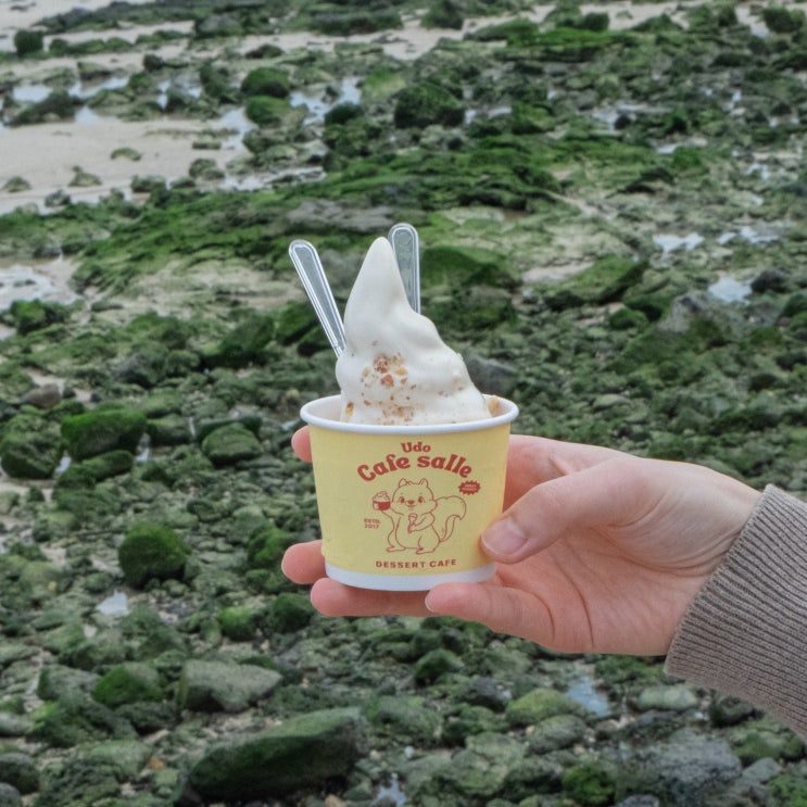  제주도 우도 땅콩아이스크림 맛집 카페살레 디저트