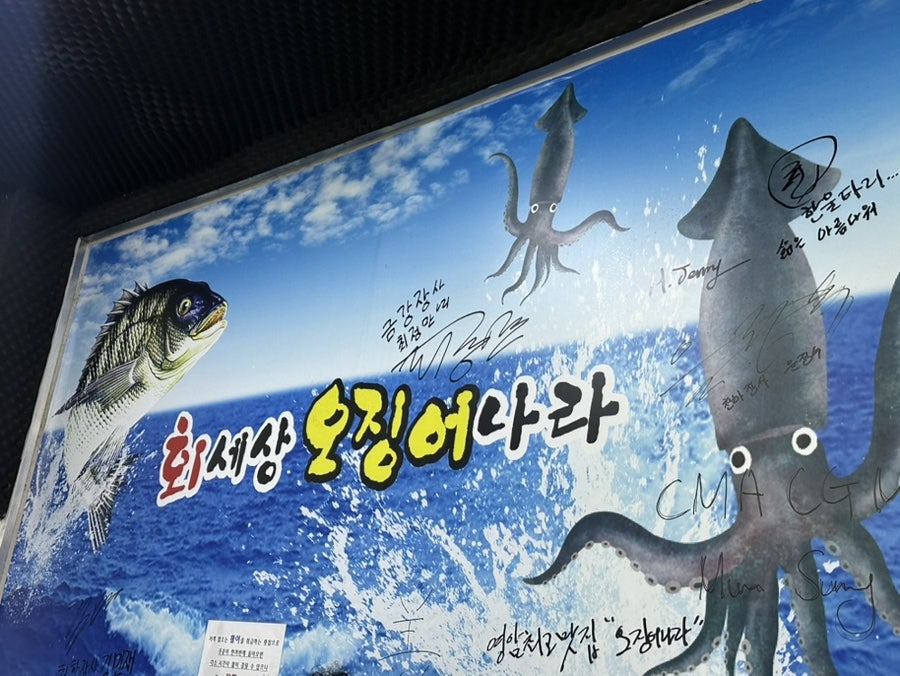 회세상오징어나라 사진 1
