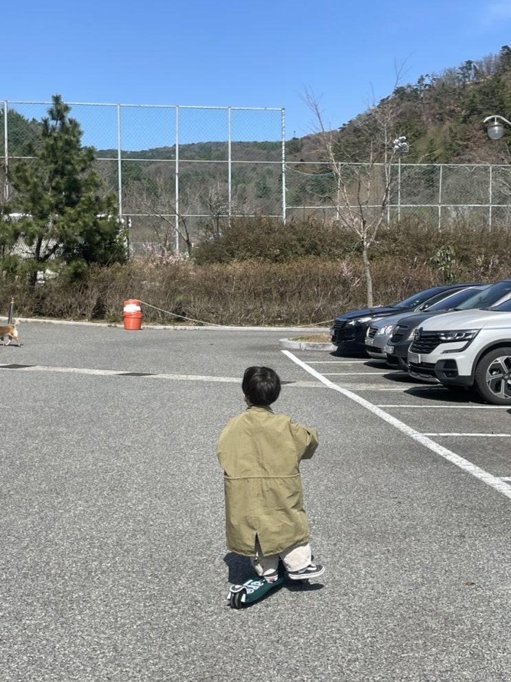  [육아일기] D+1102 하율이의 첫 맥시 킥보드  그리고 예상치 못한 페달질