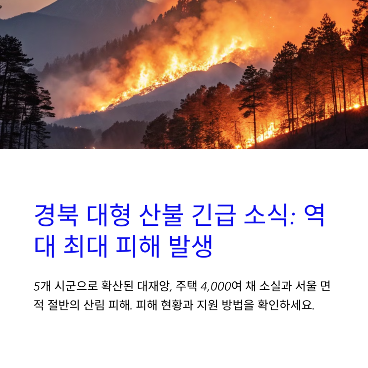  경상북도산불피해현황(의성,안동,청송,영양,영덕) 이재민지원사항, 합동분향소, 긴급모금에 동참하기