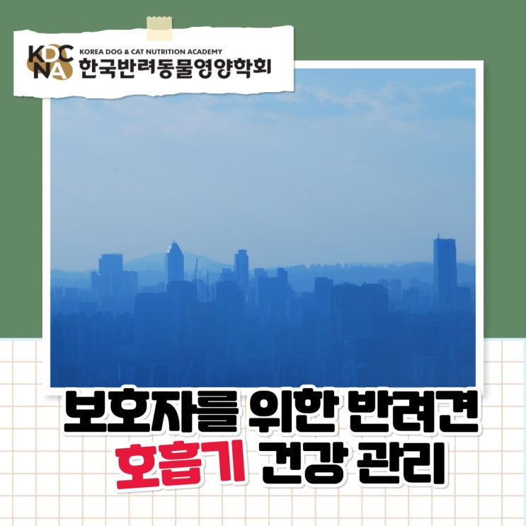  미세먼지와 반려견 호흡기 건강, 보호자를 위한 반려견 호흡기 건강 관리법