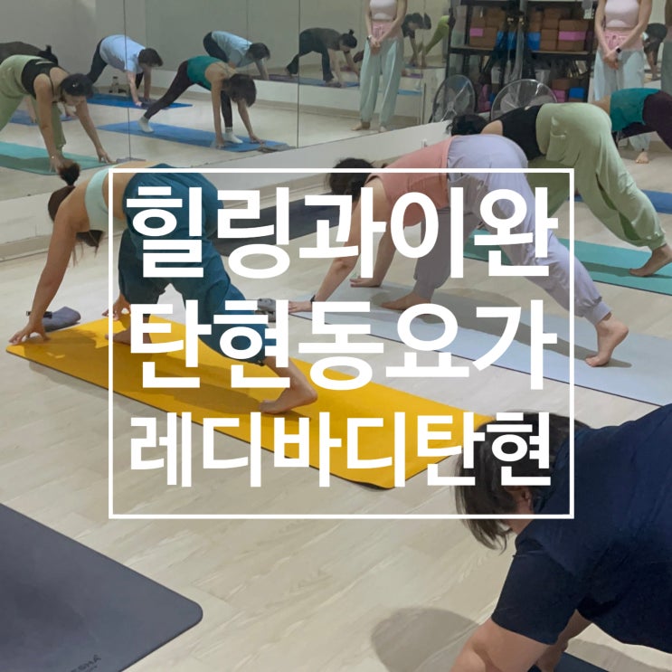  탄현동 요가 레디바디 탄현점에서 힐링과 이완을 함께! 요가후기