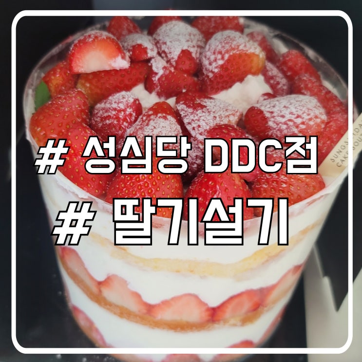 대전 확실히 줄을 덜서는 성심당DDC점 딸기설기 후기