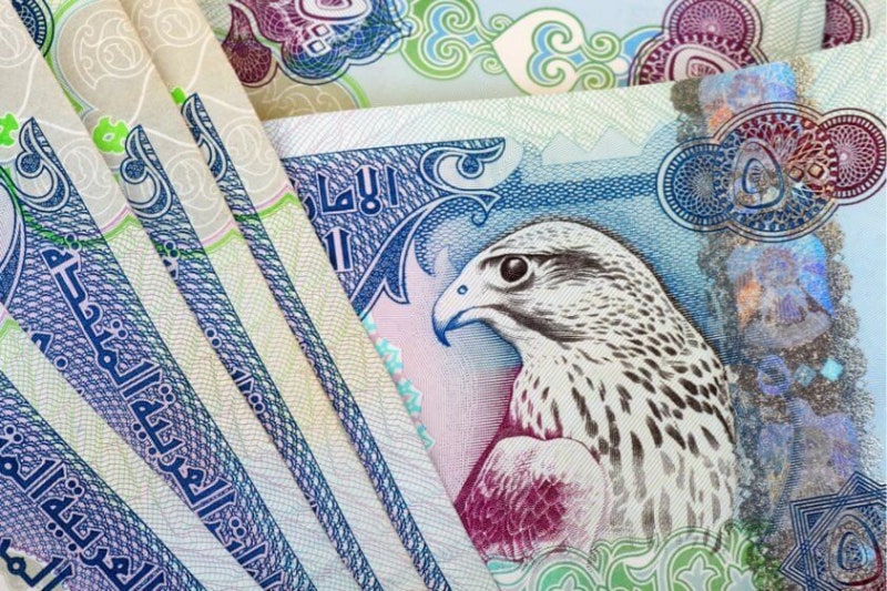 아랍에미리트 화폐 디르함 (United Arab Emirates Dirham, AED)