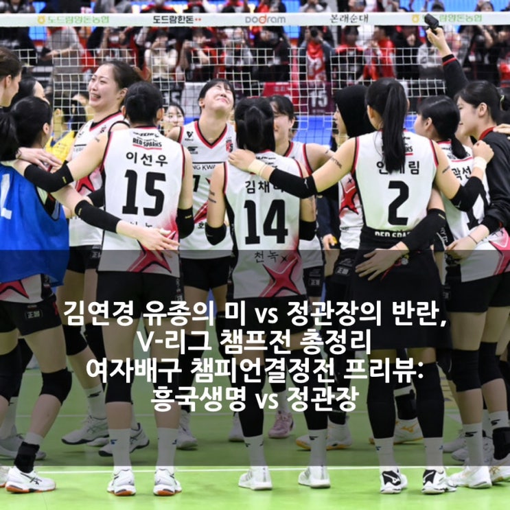 총정리 여자배구 <b>챔피언결정전</b> 프리뷰: <b>흥국생명</b> vs 정관장