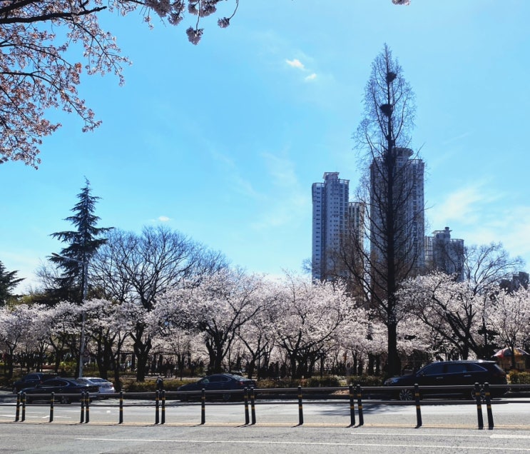 0330 농구직관 <b>한국가스공사</b> vs 서울SK <b>역전승</b>