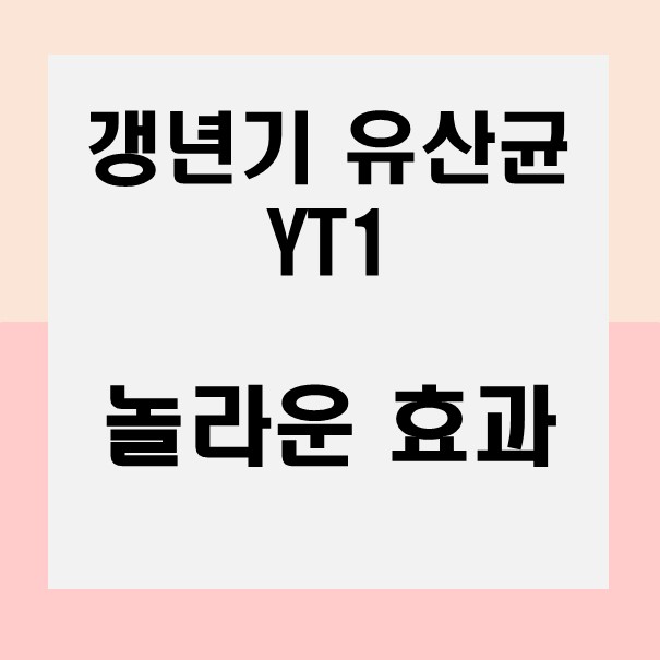  갱년기 유산균 YT1의 놀라운 효과! 여성들의 삶의 질을 높이는 비밀