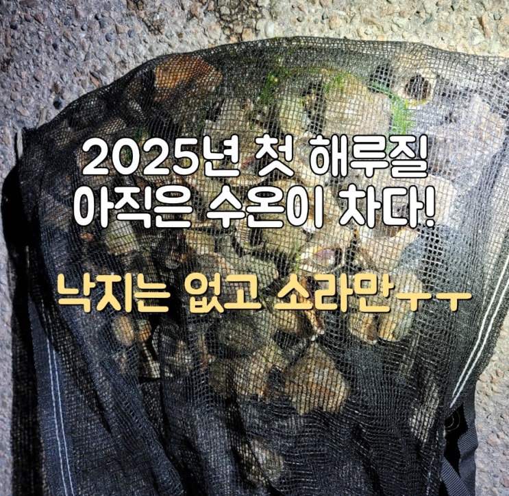  2025년 첫 해루질 시화방조제 아직 수온이 차다