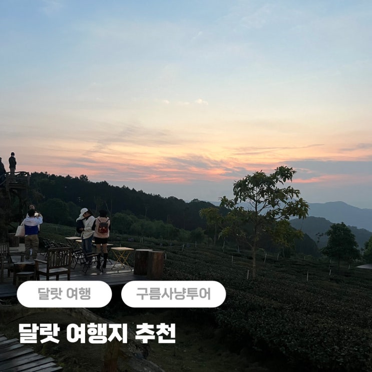  달랏 여행지 추천 구름사냥투어 시간 + 피크타임 예약
