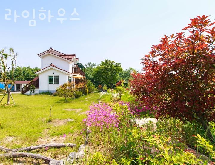 라임하우스 사진 3
