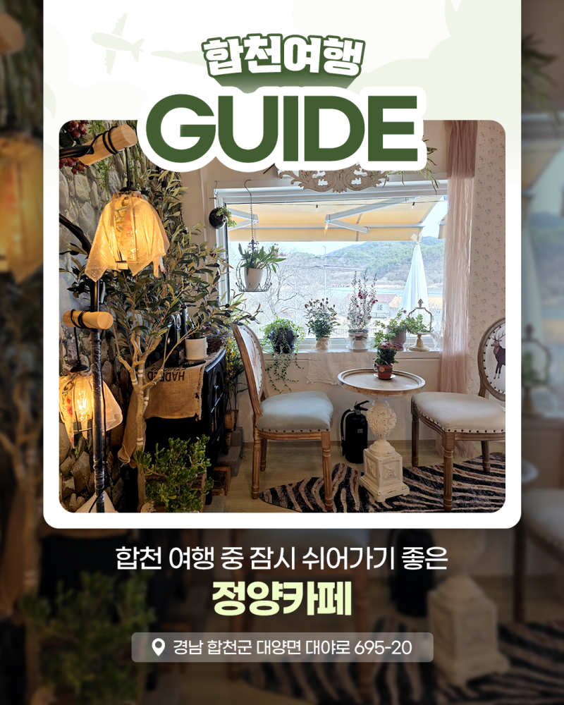 사진 5