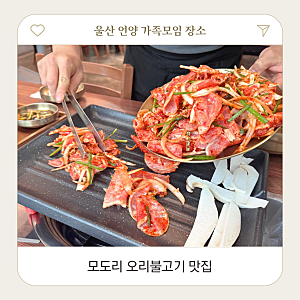 울산 언양 오리고기 맛집 저녁 모임 장소 모도리