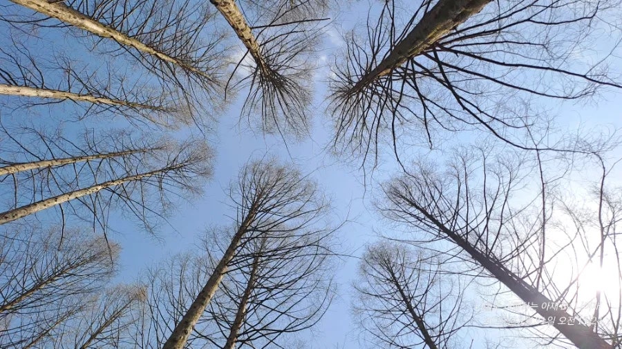 해태산 사진 6