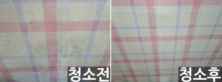  광주 신창동 입주청소 원룸을 뒤덮은 곰팡이 제거 청소
