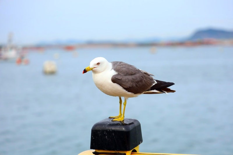사진 8