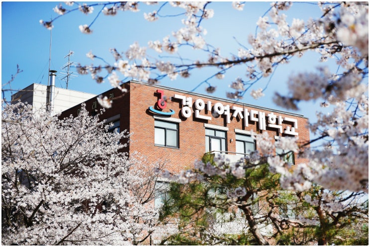  여대취업율 최상위권 전문대학 경인여자대학교 | 확실한 취업지원 인프라를 갖춘 보건특화대학