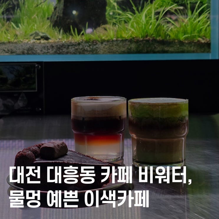  대전이색 카페 대흥동 데이트 비워터 방문기, 코코슈페너 맛집