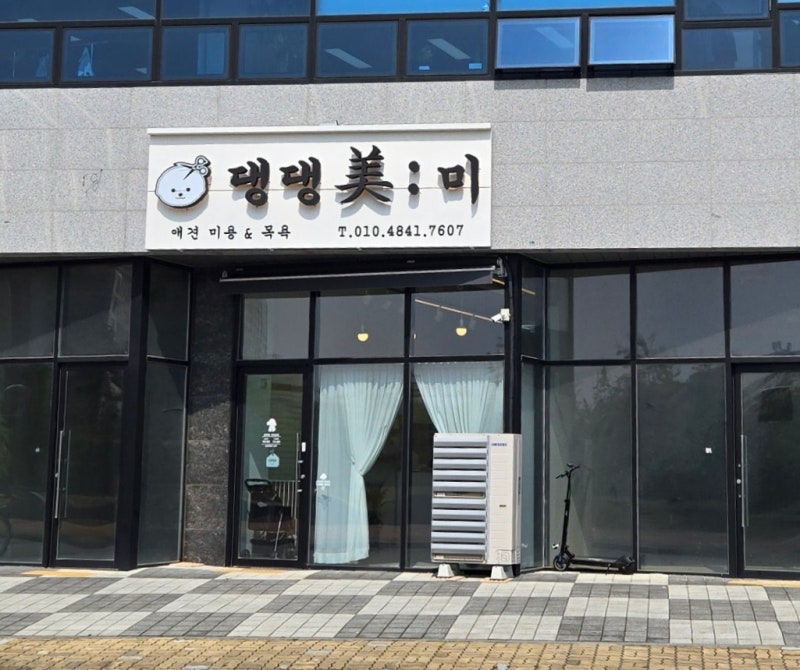 댕댕미미