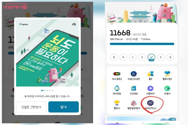 치매 예방의 골든타임, 45세부터 '브레인핏45'으로 시작하는 뇌 건강 관리