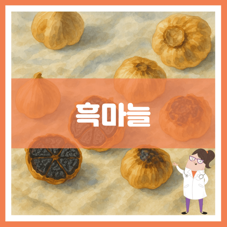  흑마늘 효능 부작용 만드는 방법
