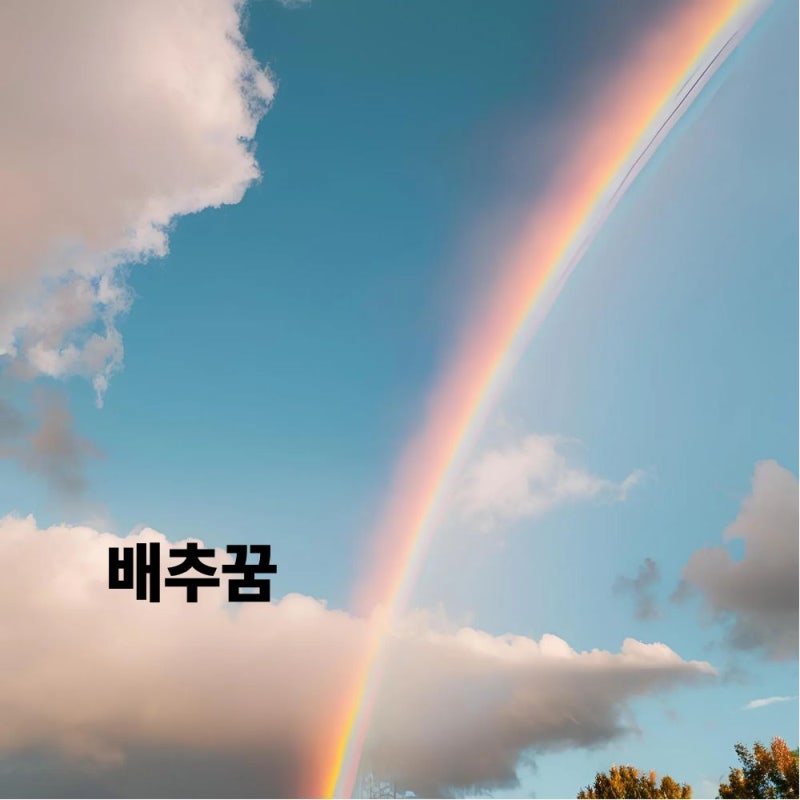 배추 보는 사는 먹는 기르는 섞은 버리는 꿈 해몽