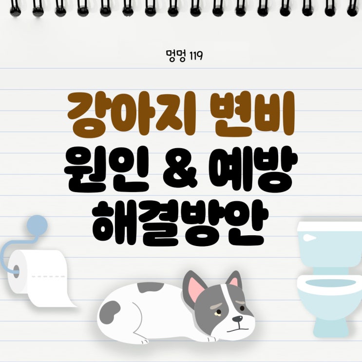  강아지 변비 원인부터 예방법까지 총정리
