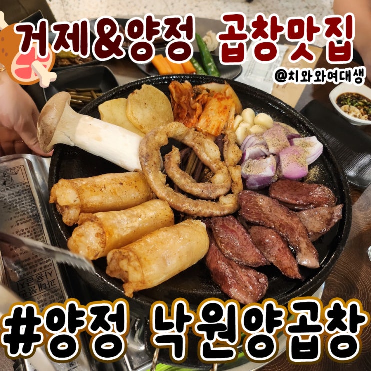  부산 시청 곱창 맛집 낙원양곱창 양정 회식 추천