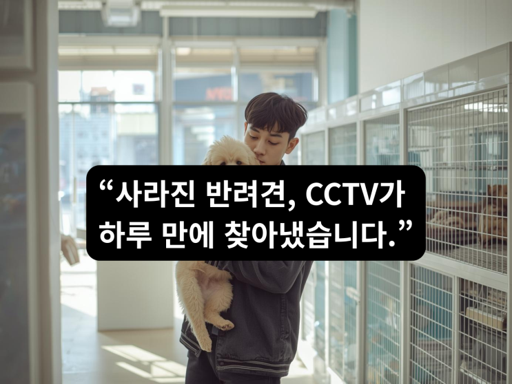  반려동물CCTV설치, 애견숍 앞 반려견 도난, CCTV가 잡았다