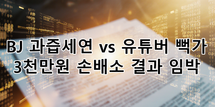BJ <b>과즙세연</b> <b>뻑가</b> 3천만원 <b>손배소</b> 최종 판결 임박! 명예훼손... 