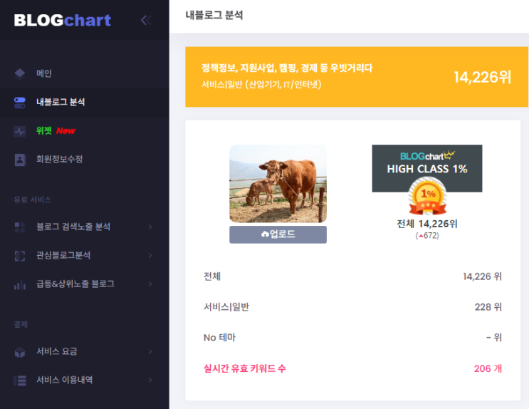  블로그 참트 내분로그 분석 순위