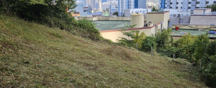  양산시 평산동 산 11-2 봉분 1기 60평 벌초제초대행("양산벌초대행")