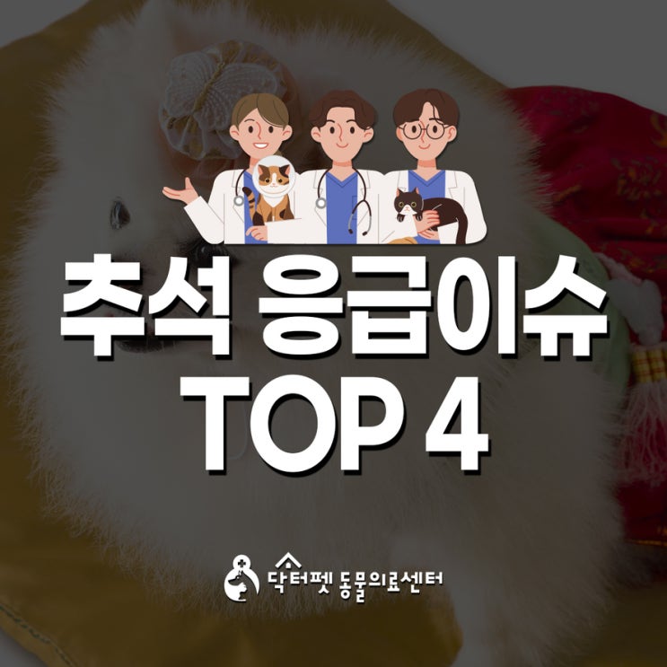  추석 명절 동물병원 응급 이슈 TOP 4 이야기 부산 24시 강아지 고양이 응급실 동물병원