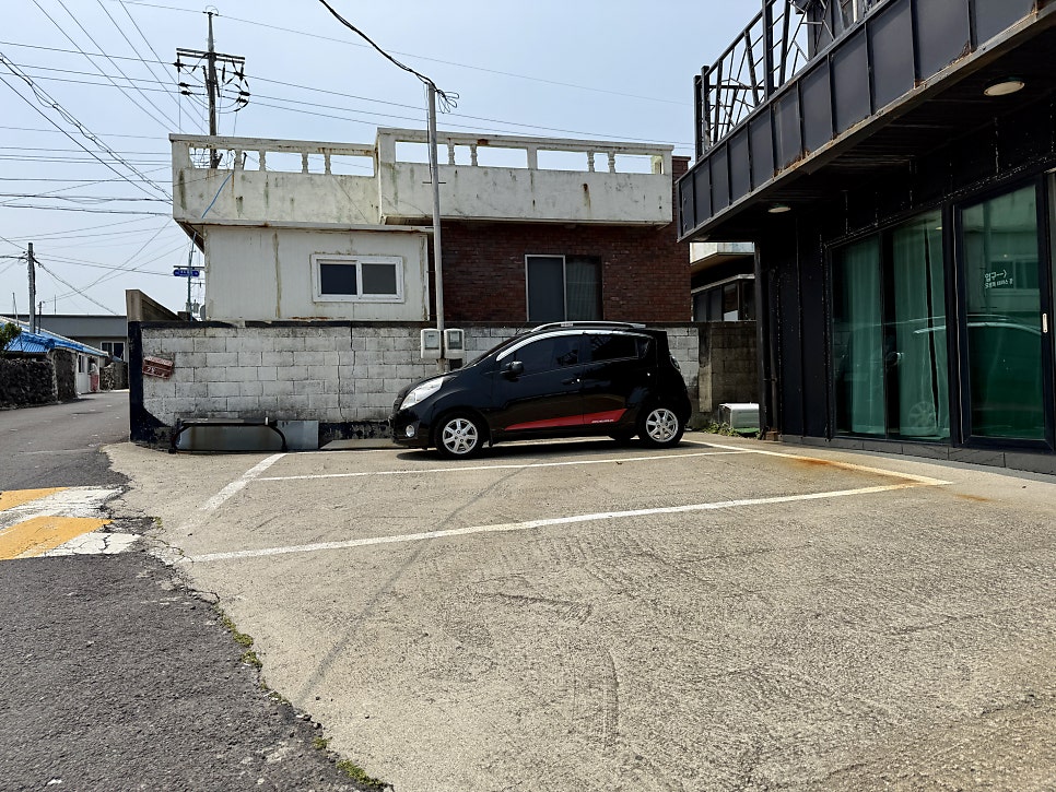 위드비키 사진 5