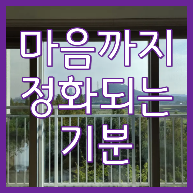  베란다 외부 창문 유리창 청소 현장 및 업체 소개(인천 서창 에코에비뉴)